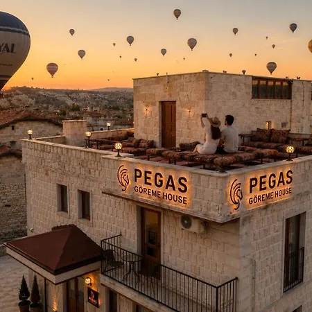 Pegas Hotel *