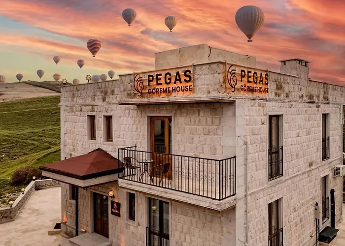 Hotel Pegas House